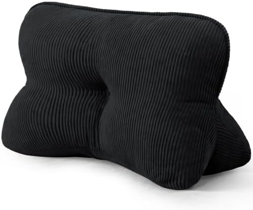Lumbar Support Back Pillow for Office Chair, Couch, Sofa, Bed by SCNUT