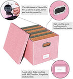 Oterri 2 Pack File Storage Organizer, Filing Box, Portable File Box with Lid, Fit for Letter/Legal File Folder Storage, document organizer, New-pink - Image 4