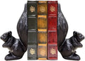 Cute Squirrel Cast Iron Bookends 2PCS, Heavy‑Duty Decorative Book Stoppers by Livfodrm