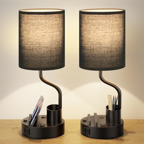 Fenmzee Bedside Lamps for Bedroom Set of 2 - Table Desk Lamp for Nightstand by Fenmzeelighting