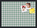 PinPix 24x18 inch Cork Bulletin Board. This Decorative Framed Pin Board Comes with Diamond Pattern in Green and White Design and Satin Black. Ideal for Home, Office Decor or School (PinPix-330) by PinPixBulletinBoards