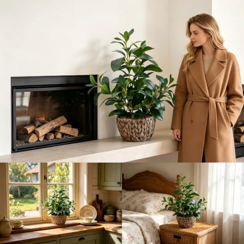 AlphaAcc Fake Indoor Ficus Plant in Rattan Basket Planter Home Office Decor - Image 4