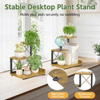 LASZOLA Plant Stand Indoor Tabletop Shelf Small for Desk, Wooden Brown - Image 4
