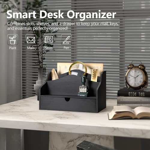 Rebee Vision Mail Organizer for Desk with Dividers for Store Jewelry, Black - Image 3