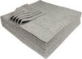 Ultra-Cut Absorbent Microfiber Towels, Silver-Embedded, Lint & Scratch-Free, for Home, Lab, & Dairy Industry Use, 12x12 Inches 25-Pack by Eurow