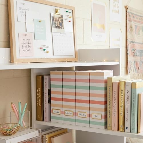 BLU MONACO | Cardboard Magazine File Holder Set of 4 | Vertical Magazine File Holder with Gold Label Slots | Standing File Holder and Cardboard Bins for Shelves Desk Classroom - Image 4