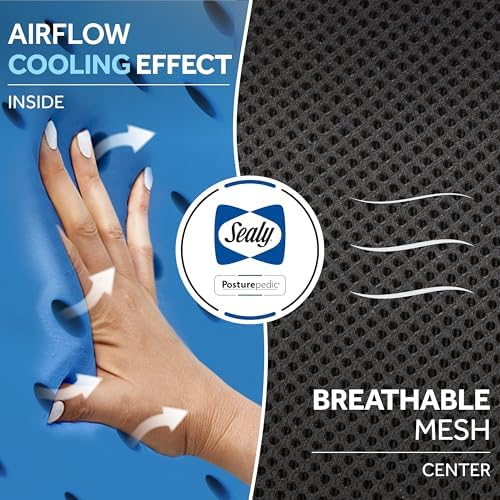 Sealy High Back Memory Foam Lumbar Support Pillow for Office Chair or Gaming Chair, Orthopedic Back Pillow for Car Seat, Black - Image 4