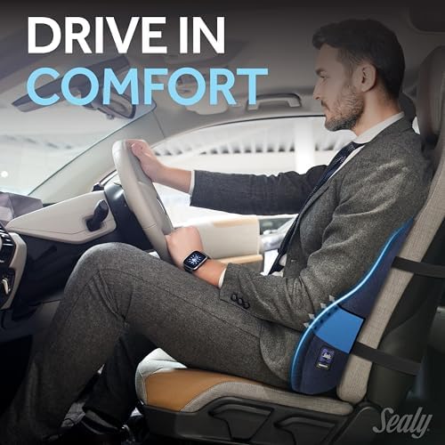 Sealy High Back Memory Foam Lumbar Support Pillow for Office Chair or Gaming Chair, Orthopedic Back Pillow for Car Seat, Navy - Image 3