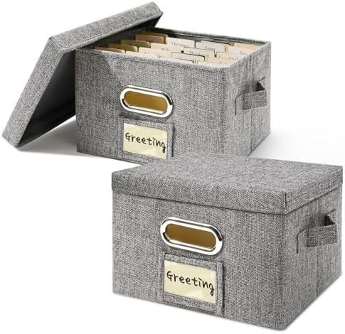 Vienrose Greeting Card Organizer Box Grey 2 Pack with 20 Dividers by Vienrose