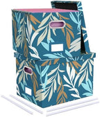 Oterri 2 Pack File Storage Organizer, Document Organizer, Portable File Box with Lid, Fit for Letter/Legal File Folder Storage,Leaf Blue-Box only by Oterri