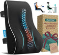Lumbar Support Pillow for Office Chair, Office Home Essentials,Gifts for Mom,Dad, Back Support Pillow for Car, Chair Cushions,Back Pain Relief Improve Posture,Mesh Cover Double Adjustable Straps by QUTOOL
