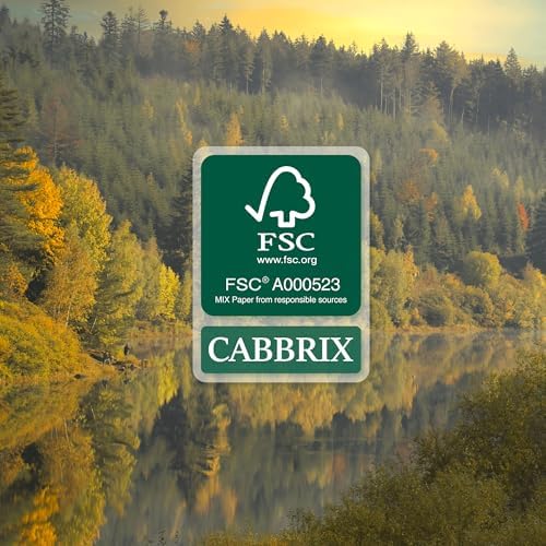Cabbrix Desk Calendar 2027, Large Desk Pad Calendar 22 x 17" (Black) - Image 7