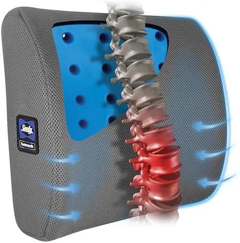 Sealy Lumbar Support Pillow with Cooling Gel – Ergonomic Office Chair Cushion for Back Support – Memory Foam Back Pillow for Car, Office, or Home, Gray by Sealy