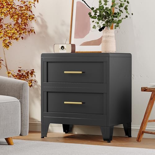 Ckzbx Metal Dresser Under Desk Metal Filing Cabinets, 26.42" H Drawer Chests of Drawers for Office, Garage (2 Drawers Black 24inch Wide) - Image 2