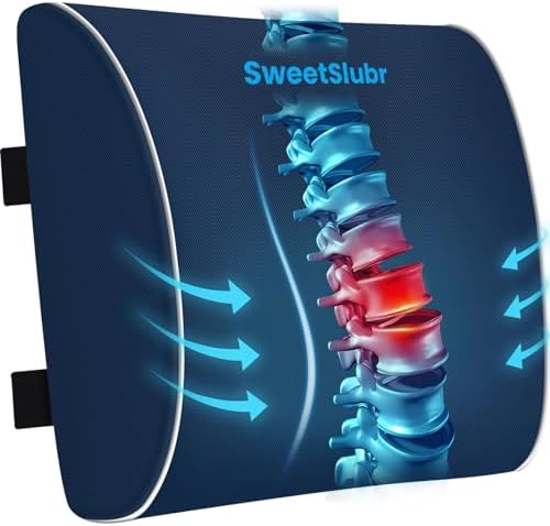 SweetSlubr Lumbar Support Pillow for Office Chair, Back Support(Blue,XL) by Unknown