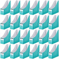 Thenshop 24 Pcs Magazine Files Cardboard Holders,Classic,Mint by Thenshop