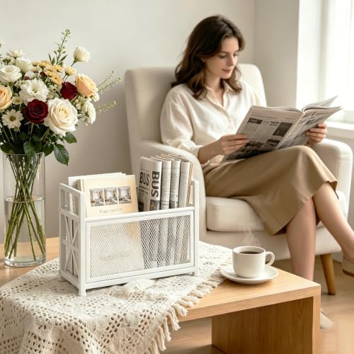 Extra Large Magazine Holder, Metal Magazine Rack Floor, Magazine Storage Basket, Mesh Magazine File Holder, Magazine Holders for Shelves, Magazine Stand for Desk, Folder Organizer Bin for Magazines - Image 7