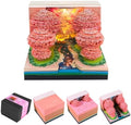 3D Calendar 2027, Desk Time Piece Calendar 2027,Tear-Away 3D Paper Art Notepad w LED Lights,Creative 3D Memo Artsy Pad Calendars, DIY Paper Carving Gift (Peach Blossom Forest) by Ksgolif