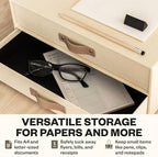 Bigso Birger 2 Drawers - Desktop Drawers for A4 and Letter Size Papers and Documents - Tabletop Drawers with Leather Handles - 13.1 in x 10 in x 5.7 in - Cream - Image 4