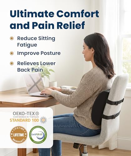 Everlasting Comfort The Original Lumbar Support Pillow for Office Chair - Improves Posture, Promotes Back Pain Relief - Superior Back Support for Gaming and Desk Chairs - Lumbar Pillow for Car, Couch - Image 2