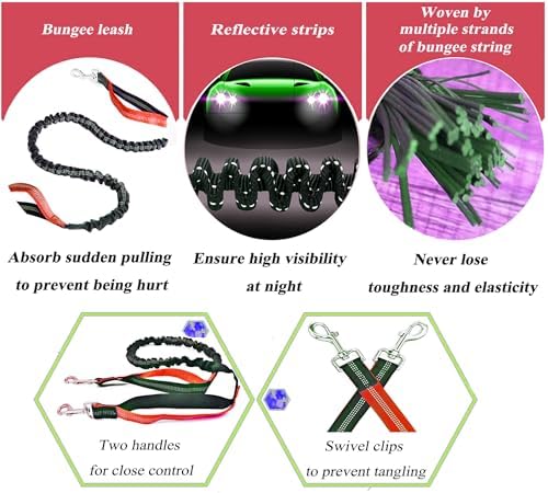 Dog Tie Out Cable for Camping, Dog Trolley System and 4ft Bungee Leash - Image 3