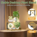 LASZOLA Plant Stand Indoor Tabletop Shelf Small for Desk, Wooden Brown - Image 5