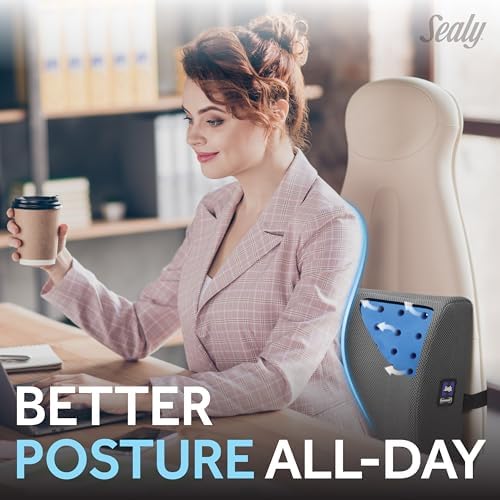 Sealy Lumbar Support Pillow with Cooling Gel – Ergonomic Office Chair Cushion for Back Support – Memory Foam Back Pillow for Car, Office, or Home, Gray - Image 2