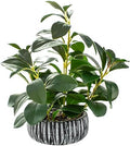 AlphaAcc Fake Plants Potted Artificial Succulents Home Office Decor by AlphaAcc