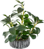 AlphaAcc Fake Plants Potted Artificial Succulents Home Office Decor by AlphaAcc