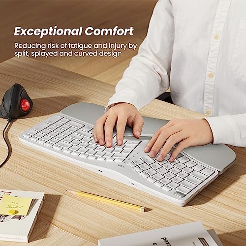 Nulea RT05 Wireless Ergonomic Keyboard, Split Keyboard with Wrist Rest, USB-C Charging, 7-Color Backlight, Natural Typing, Bluetooth and USB Connectivity, Compatible with Windows,Mac - Image 2