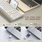 JOYACCESS Ergonomic Wireless Keyboard with Palm Rest & Tilt Angle, 2.4G Full-Size, Comfortable Typing, USB-C Adapter & Phone Holder for Mac/Windows -Gold White - Image 2