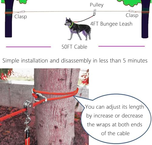 Dog Tie Out Cable for Camping, Dog Trolley System and 4ft Bungee Leash - Image 2