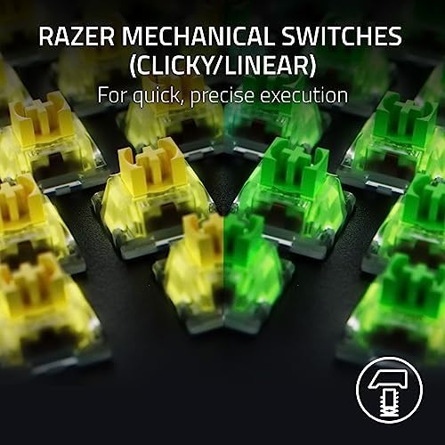 Razer BlackWidow V4 Mechanical Gaming Keyboard: Yellow Switches Linear & Silent-Chroma RGB - 6 Macro Keys - Magnetic Wrist Rest - Doubleshot ABS Keycaps - Multi-Function Roller &Media Keys (Renewed) - Image 2