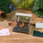 3D Art Calendar Memo Pad 2027,Desk Time Piece Calendar 3D Original Tyrannosaurus Rex Notepad Creative Rip Away Calendar Paper Carving Note - Image 3