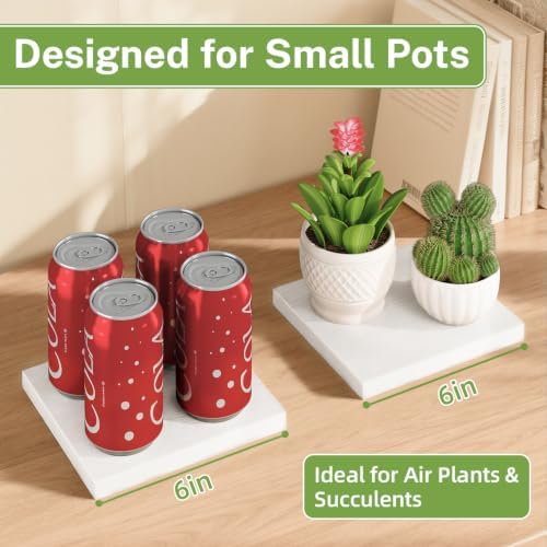 iDavosic.ly Table Top Small Plant Stand, Succulent Holder for Desk, White - Image 2