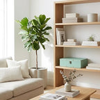 DreamsEden Wooden Decorative Storage Box, Home Shelf Decor in Serene Green - Image 7