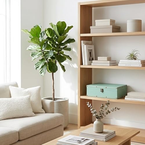 DreamsEden Wooden Decorative Storage Box, Home Shelf Decor in Serene Green - Image 7