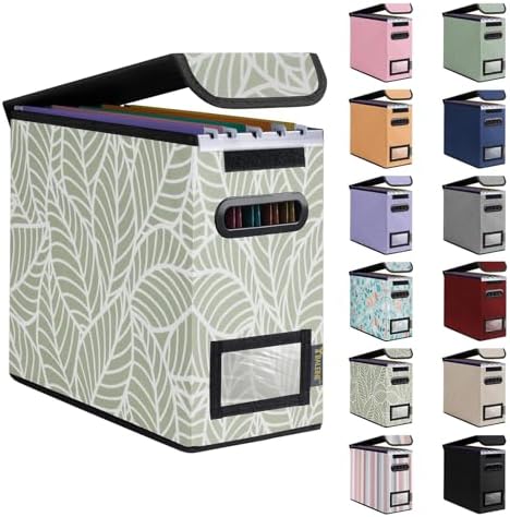 BALEINE File Organizer Box with Lid, Collapsible Hanging File Storage Box by BALEINE