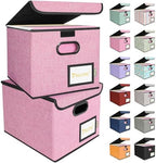 BALEINE File Organizer Box with Lid, Collapsible Hanging File Storage Box by BALEINE
