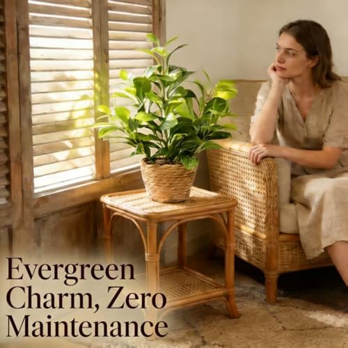 16 inch Boho Artificial Peperomia Potted Plant in Woven Basket Planter Lifelike Two Tone Green Leaves Faux Indoor Branches for Home Office Desk Shelf Bathroom Table Decor - Image 3
