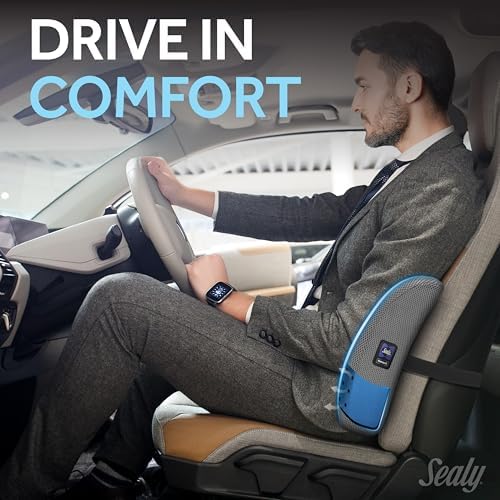 Sealy Lumbar Support Pillow with Cooling Gel – Ergonomic Office Chair Cushion for Back Support – Memory Foam Back Pillow for Car, Office, or Home, Gray - Image 3