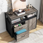 Tribesigns Modern File Cabinet with Drawers for Letter-Sized File and Door, Lockable lateral Filing Cabinet Printer Stand with Storage Shelves and with Rolling Caster for Home Office (Gray) by Tribesigns