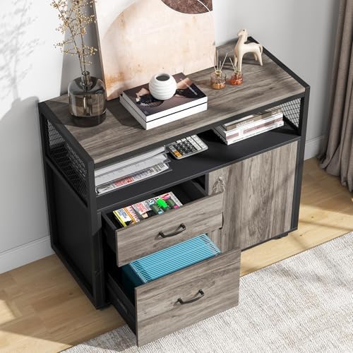 Tribesigns Modern File Cabinet with Drawers for Letter-Sized File and Door, Lockable lateral Filing Cabinet Printer Stand with Storage Shelves and with Rolling Caster for Home Office (Gray) by Tribesigns