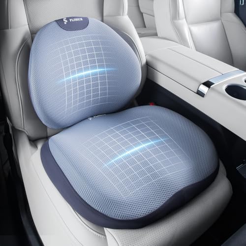 FLORICH Seat Cushion and Lumbar Support Pillow for Office Chair Car, Ergonomic Memory Foam Back Support for Office Gaming Chair Driving Seat Wheelchair, Relieves Neck, Back & Sciatica Pain – Blue by FLORICH