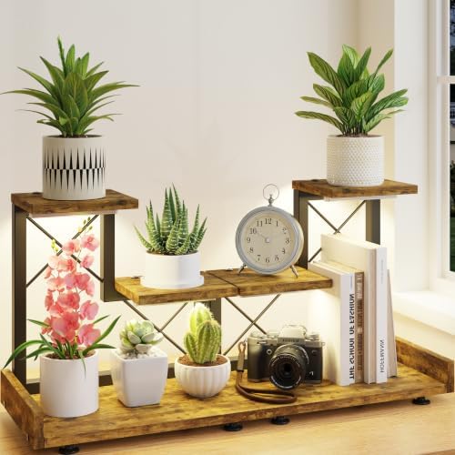 LASZOLA Plant Stand Indoor Tabletop Shelf Small for Desk, Wooden Brown by LASZOLA