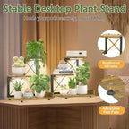 LASZOLA Plant Stand Indoor Tabletop Shelf Small for Desk, Wooden Brown - Image 5