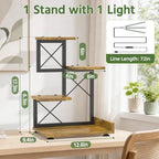 LASZOLA Plant Stand Indoor Tabletop Shelf Small for Desk, Wooden Brown - Image 2