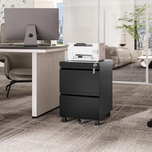 Fesbos 2 Drawers Vertical File Cabinet - Fully Assembled Black Under Desk Mobile Filling Cabinet Small Lockable Home Office File Cabinets for A4/Letter/Legal Size - Image 2