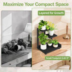iDavosic.ly Table Top Small Plant Stand, Succulent Holder for Desk, Black - Image 4