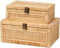 2PCS Rattan Box with Lid Decorative Natural Handmade Boho Basket by VinneGenzz